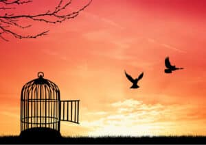 2 birds flying out of a cage, symbolizing self-liberation in the Buddhist path