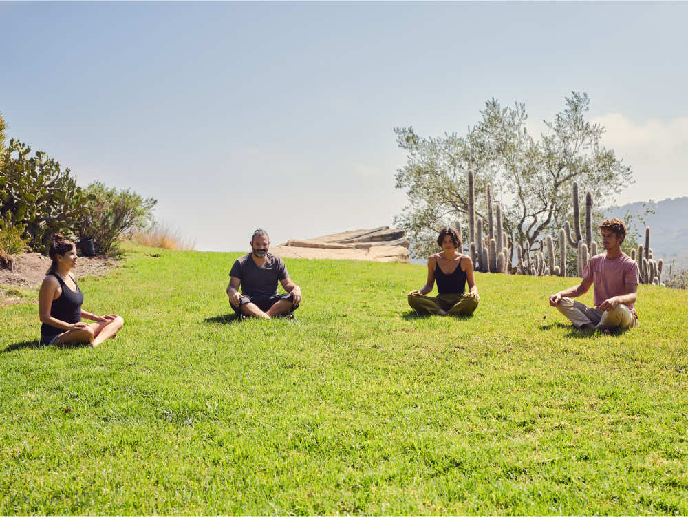 Four people meditating serenely on a lawn