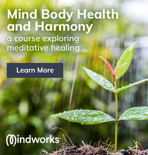 An image about a healthy plant growing, and a meditation course called Mind Body Health and Harmony