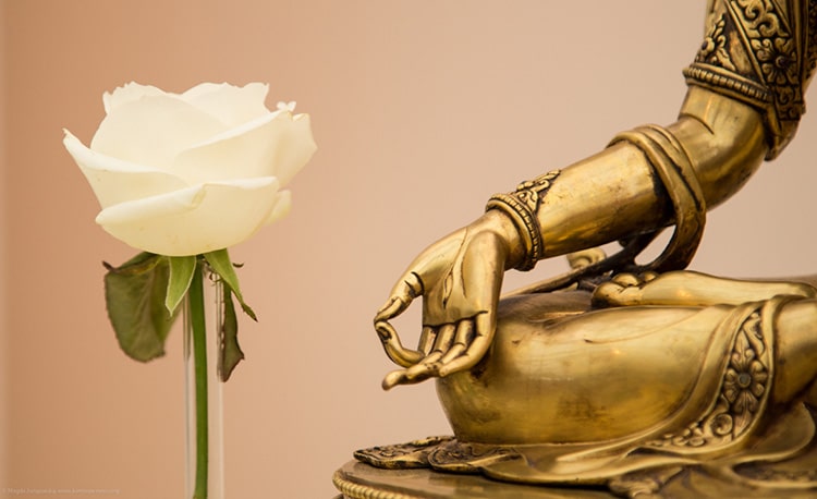 Buddha statue with a flower - does meditation affect aging?