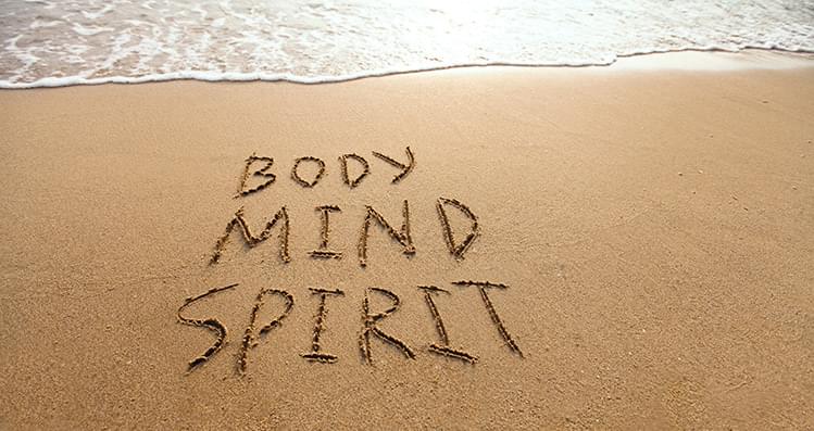 body brain and mind in meditation