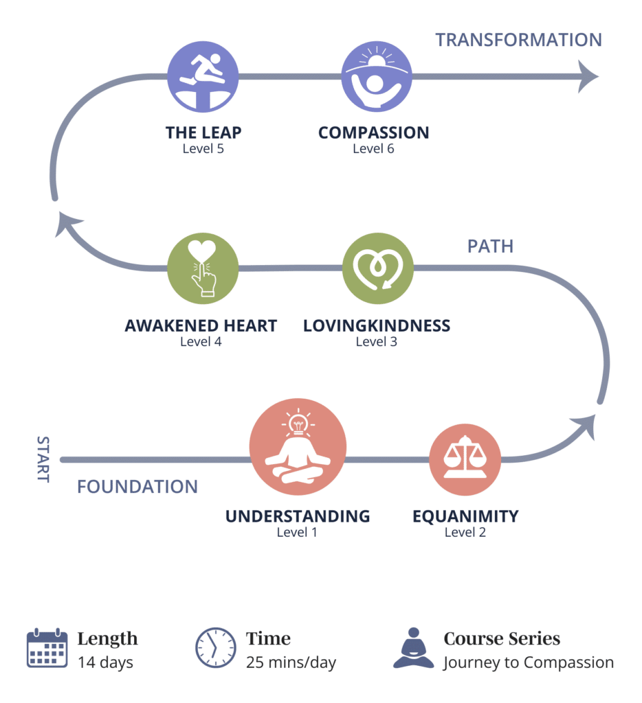 Graphic showing Mindwork's Level 1 - Understanding path progressions