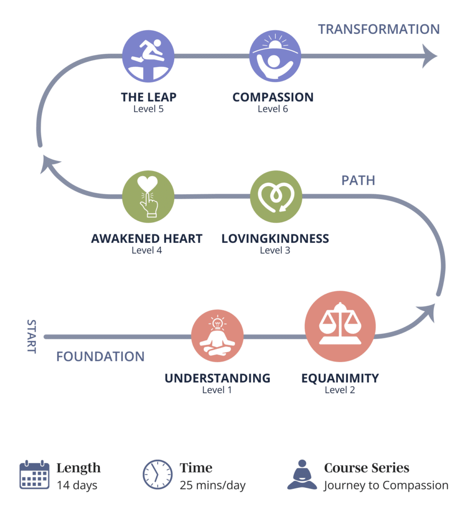 Graphic showing Mindwork's Level 2 - Equanimity path progression