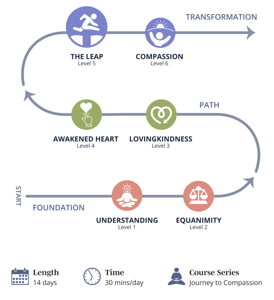 Graphic showing Mindwork's Level 5 - The Leap path progression