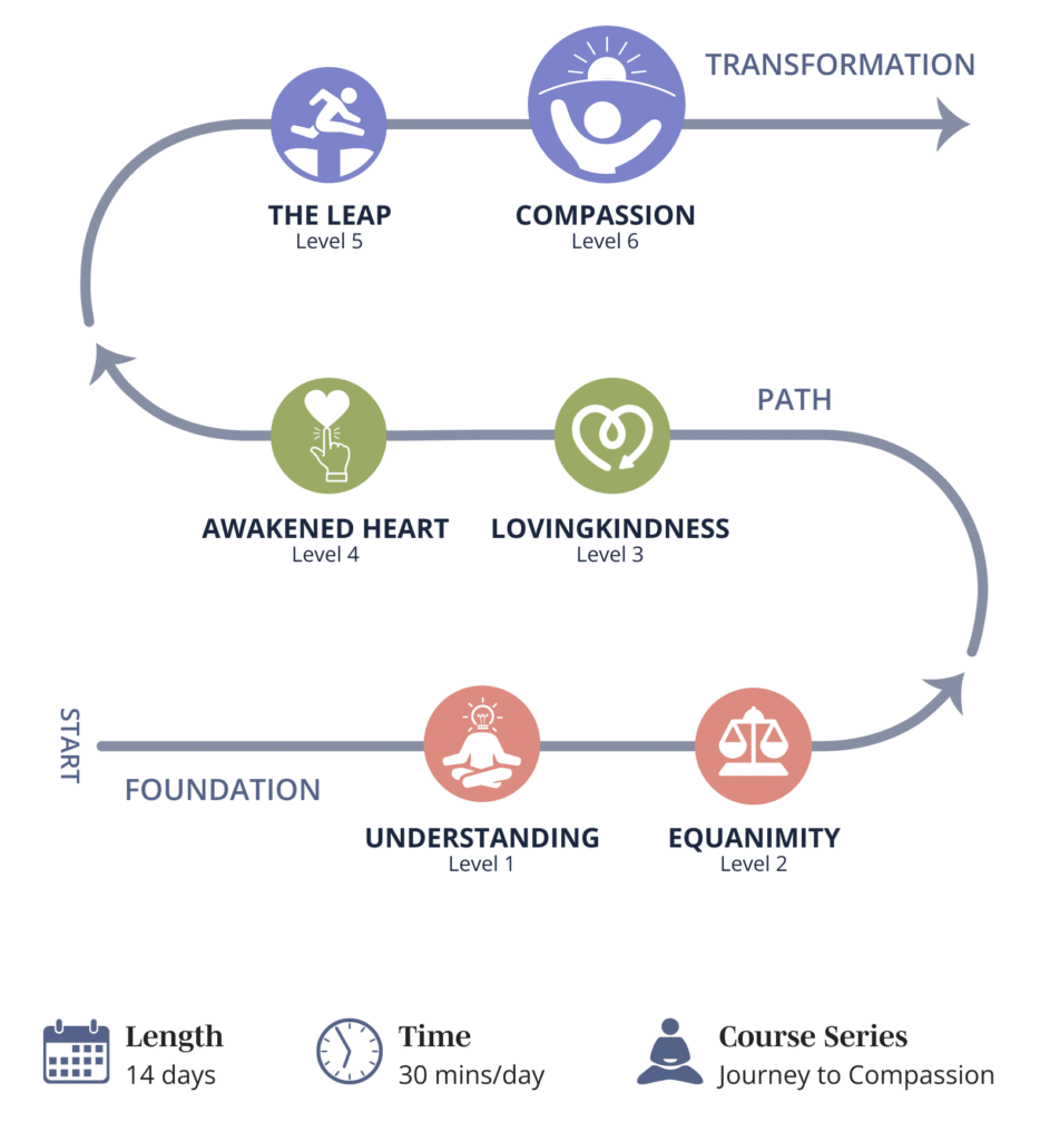 Graphic showing Mindwork's Level 6 - Compassion path progression